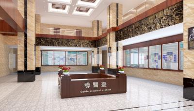 樂(lè )山中醫院大廳大廳文化